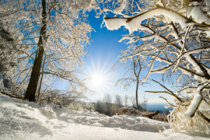 Motiv als Fototasse - Heitere Winterlandschaft Mit Sonne oder mit E...