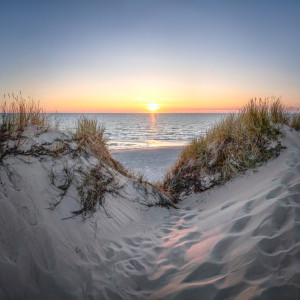 Tasse - Urlaub Am Dünenstrand oder mit Eigenem Foto