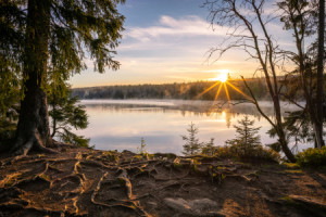 Bild als Fototasse - Sonnenaufgang Am Oderteich oder mit Eigenem Foto
