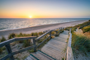Bild Tasse - Der Weg Zum Strand oder mit Eigenem Foto