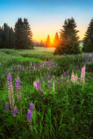 Fotos Tasse - Sommerabend Im Erzgebirge oder mit Eigenem Foto