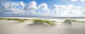 Bild Tasse - Dünen Am Meer oder mit Eigenem Foto
