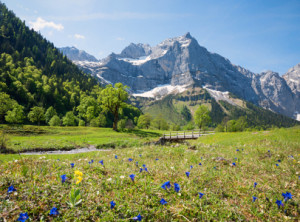 Wunschbild Tasse - Enzianwiese Im Karwendel oder mit Eigenem Foto