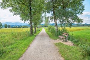 Motiv als Tasse - Radwanderweg Um Den Chiemsee oder mit Eigenem Foto
