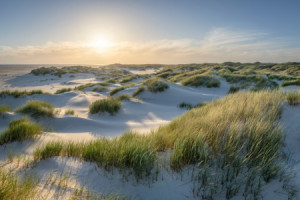 Fotos Tasse - Dünen Bei Sonnenuntergang oder mit Eigenem Foto