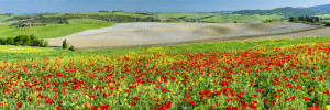 Tasse - Frühling In Der Toskana oder mit Eigenem Foto
