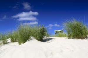 Wunschmotiv als Fototasse - Urlaubsfeeling Auf Amrum oder mit Eigen...