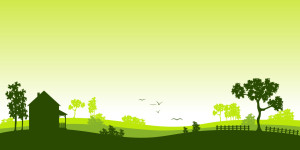 Wunschbild auf Tasse - Green Landscape oder mit Eigenem Foto