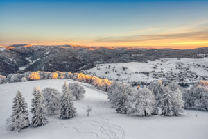 Wunschmotiv als Tasse - Winter Im Schwarzwald oder mit Eigenem Foto