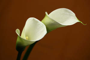 Teppich - I Love You oder mit Eigenem Foto