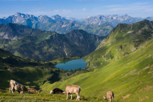 Wunschbild als Teppich - Bergsee oder mit Eigenem Foto