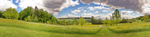 Bild Teppich - Summer Meadow oder mit Eigenem Foto