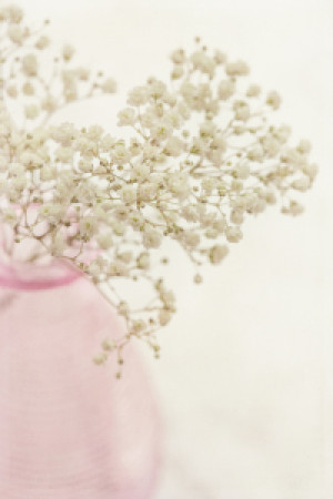 Motiv auf Teppich - Baby Breath oder mit Eigenem Foto