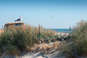 Foto auf Teppich - Nordsee - Strandburg Mit Muscheln Und Möwe oder ...