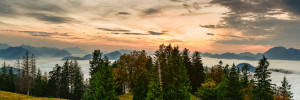 Motiv Teppich - Herbstlicht oder mit Eigenem Foto