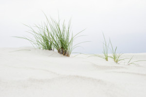 Wunschbild als Teppich - Nordsee oder mit Eigenem Foto