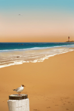 Teppich - Einsamer Strand oder mit Eigenem Foto