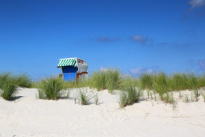 Foto auf Teppich - Auf Der Düne oder mit Eigenem Foto