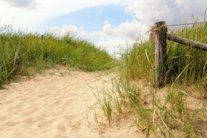 Foto auf Teppich - Weg Zum Meer oder mit Eigenem Foto