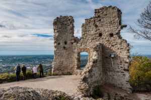 Foto auf Teppich - Ruine Drachenfels Bei Bonn oder mit Eigenem Foto