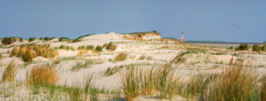 Wunschbild auf Teppich - Mitten In Den Dünen Vor Westerhever oder m...