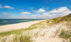 Bilder Teppich - Küstenlandschaft Sylt oder mit Eigenem Foto
