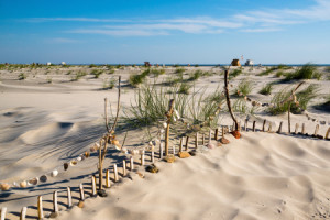Foto auf Teppich - Strand Muscheln Steine Und Meer oder mit Eigenem...