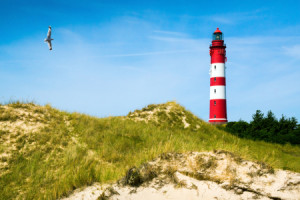 Fotos Teppich - Amrum - Am Leuchtturm oder mit Eigenem Foto