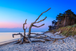 Wunschmotiv auf Teppich - Darßer Weststrand oder mit Eigenem Foto