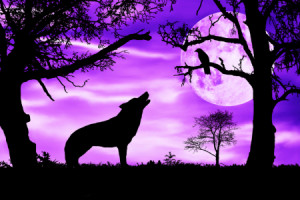 Wunschbild auf Teppich - Wolf Heult Mond An oder mit Eigenem Foto