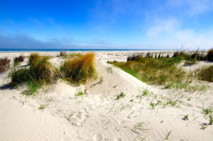 Motiv Teppich - Juist Dünenlandschaft oder mit Eigenem Foto