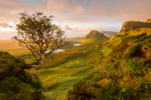 Bild auf Teppich - The Quiraing Skye Schottland oder mit Eigenem Foto