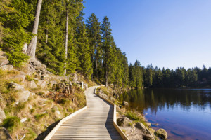 Wunschmotiv auf Teppich - Mummelsee oder mit Eigenem Foto