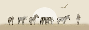 Motiv auf Teppich - Zebraherde In Panorama oder mit Eigenem Foto