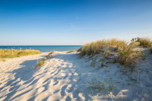 Teppich - Ostseestrand oder mit Eigenem Foto