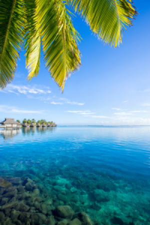 Bilder Teppich - Traumurlaub Auf Einer Insel oder mit Eigenem Foto