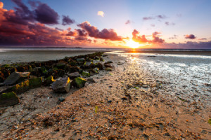 Bild auf Teppich - Sonnenuntergang Am Strand Von Föhr oder mit Eige...