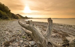 Foto auf Teppich - Sonnenuntergang Timmendorfer Strand oder mit Eig...