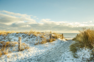Foto Teppich - Am Meer - 2 - oder mit Eigenem Foto