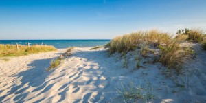 Motiv als Teppich - Frühlingserwachen Am Meer oder mit Eigenem Foto