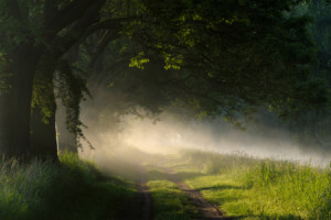 Wunschbild Teppich - Nebellandschaften oder mit Eigenem Foto