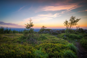 Wunschbild als Teppich - Untergwegs Im Harz oder mit Eigenem Foto