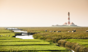 Bild Teppich - Beim Leuchtturm oder mit Eigenem Foto