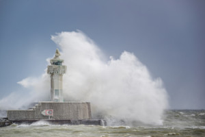 Foto auf Teppich - Sturm Im Winter oder mit Eigenem Foto