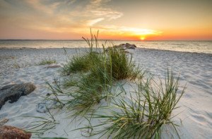 Foto auf Teppich - Stimmungsvolles Abendlicht oder mit Eigenem Foto