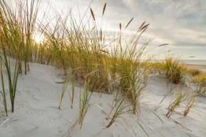 Bild auf Teppich - Nordsee Dünenlichter oder mit Eigenem Foto