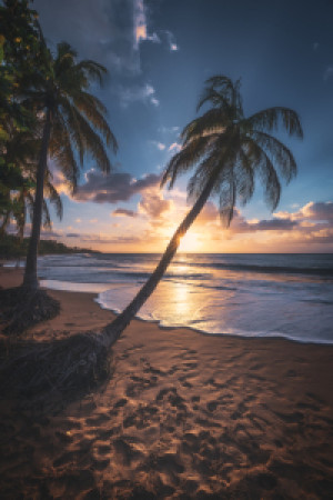 Fotos Teppich - Guadeloupe Karibik Strand Zum Sonnenuntergang oder ...