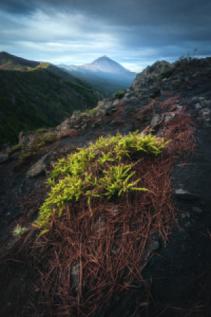 Teppich - Teneriffa Teide Am Morgen oder mit Eigenem Foto