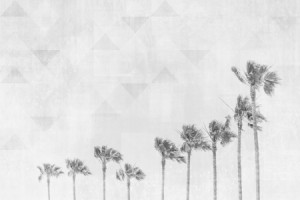 Bilder Teppich - California Vibes - Monochrom oder mit Eigenem Foto