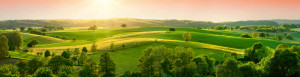 Foto auf Teppich - Hügellandschaft Am Abend Im Panorama Format oder...